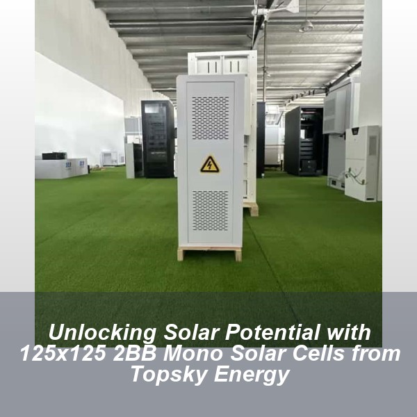 Unlocking Solar Potential with 125x125 2BB Mono Solar Cells from Topsky Energy