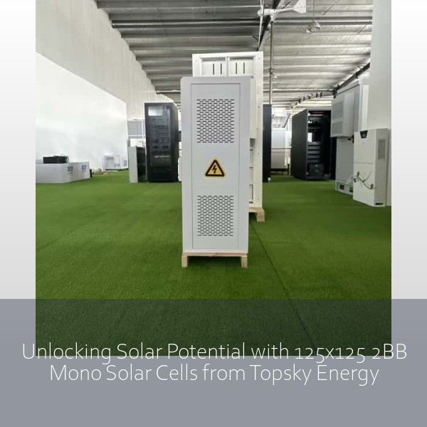 Unlocking Solar Potential with 125x125 2BB Mono Solar Cells from Topsky Energy
