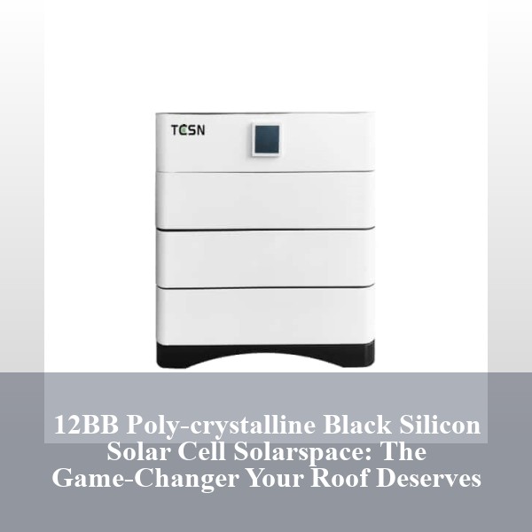 12BB Poly-crystalline Black Silicon Solar Cell Solarspace: The Game-Changer Your Roof Deserves