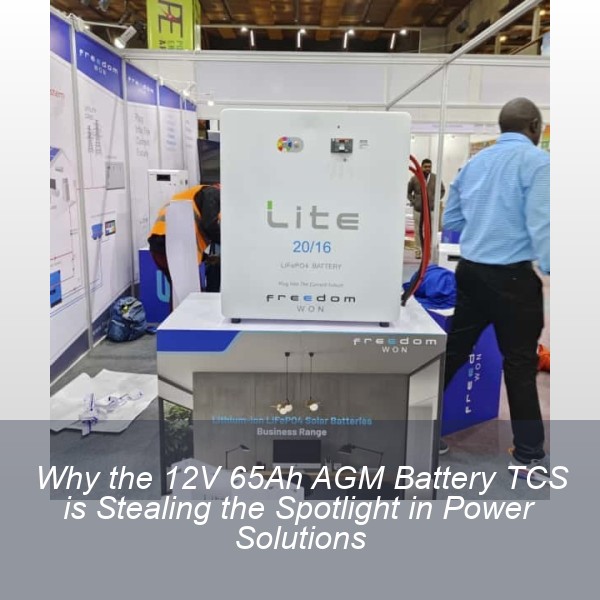 Why the 12V 65Ah AGM Battery TCS is Stealing the Spotlight in Power Solutions