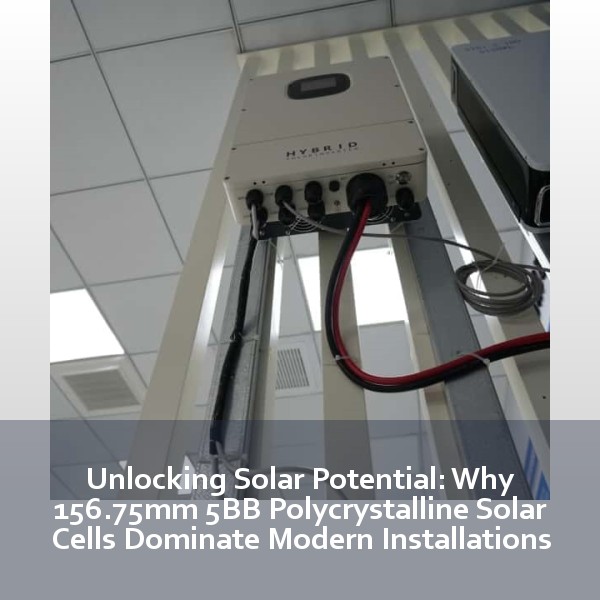 Unlocking Solar Potential: Why 156.75mm 5BB Polycrystalline Solar Cells Dominate Modern Installations