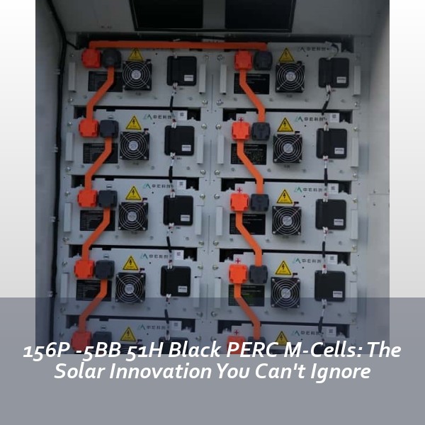 156P -5BB 51H Black PERC M-Cells: The Solar Innovation You Can't Ignore