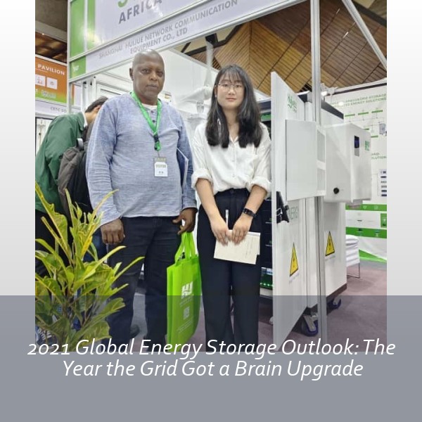 2021 Global Energy Storage Outlook: The Year the Grid Got a Brain Upgrade