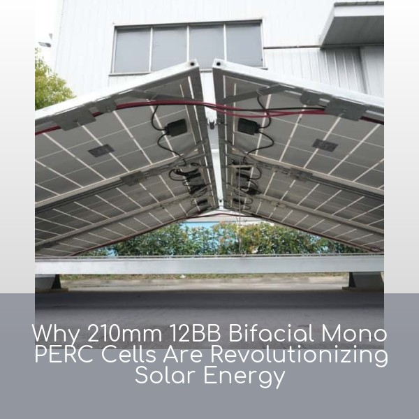 Why 210mm 12BB Bifacial Mono PERC Cells Are Revolutionizing Solar Energy