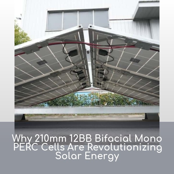 Why 210mm 12BB Bifacial Mono PERC Cells Are Revolutionizing Solar Energy