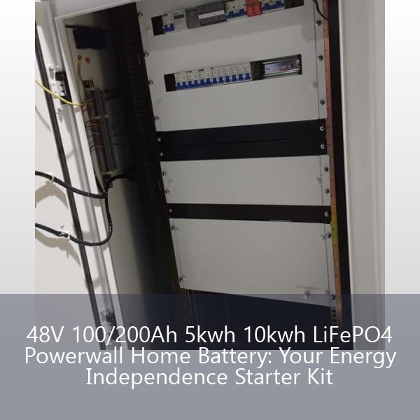 48V 100/200Ah 5kwh 10kwh LiFePO4 Powerwall Home Battery: Your Energy Independence Starter Kit