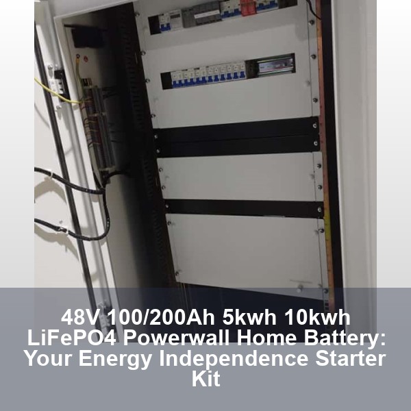 48V 100/200Ah 5kwh 10kwh LiFePO4 Powerwall Home Battery: Your Energy Independence Starter Kit