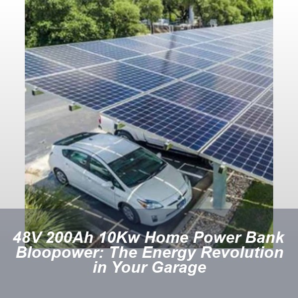 48V 200Ah 10Kw Home Power Bank Bloopower: The Energy Revolution in Your Garage