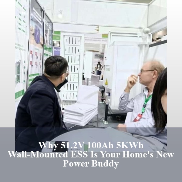 Why 51.2V 100Ah 5KWh Wall-Mounted ESS Is Your Home's New Power Buddy