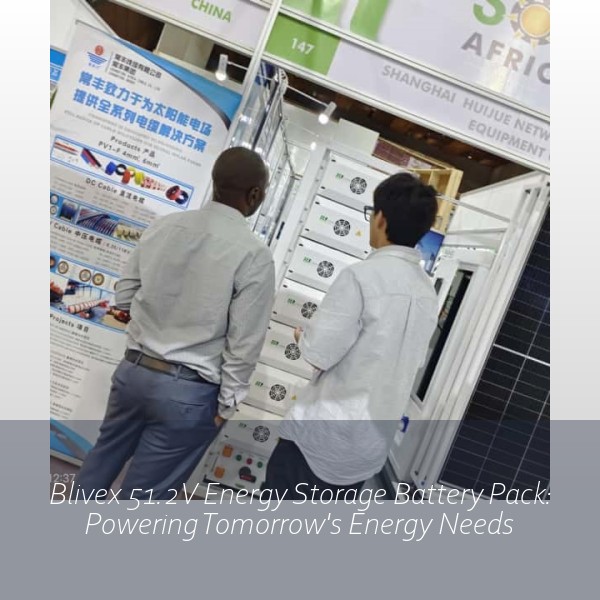Blivex 51.2V Energy Storage Battery Pack: Powering Tomorrow's Energy Needs