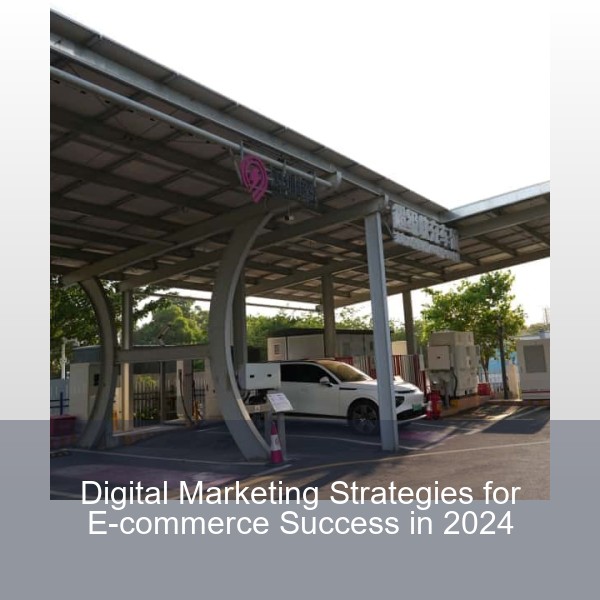 Digital Marketing Strategies for E-commerce Success in 2024