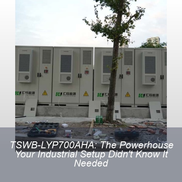 TSWB-LYP700AHA: The Powerhouse Your Industrial Setup Didn't Know It Needed