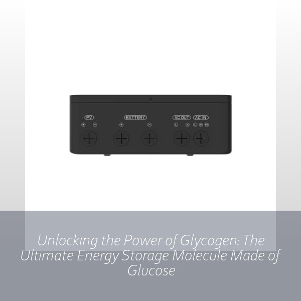 Unlocking the Power of Glycogen: The Ultimate Energy Storage Molecule Made of Glucose
