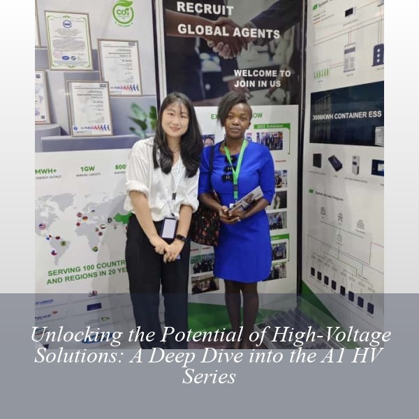 Unlocking the Potential of High-Voltage Solutions: A Deep Dive into the A1 HV Series