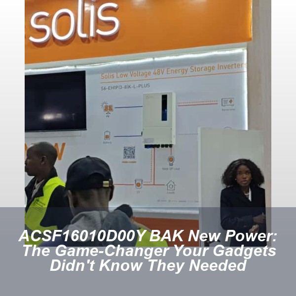 ACSF16010D00Y BAK New Power: The Game-Changer Your Gadgets Didn't Know They Needed
