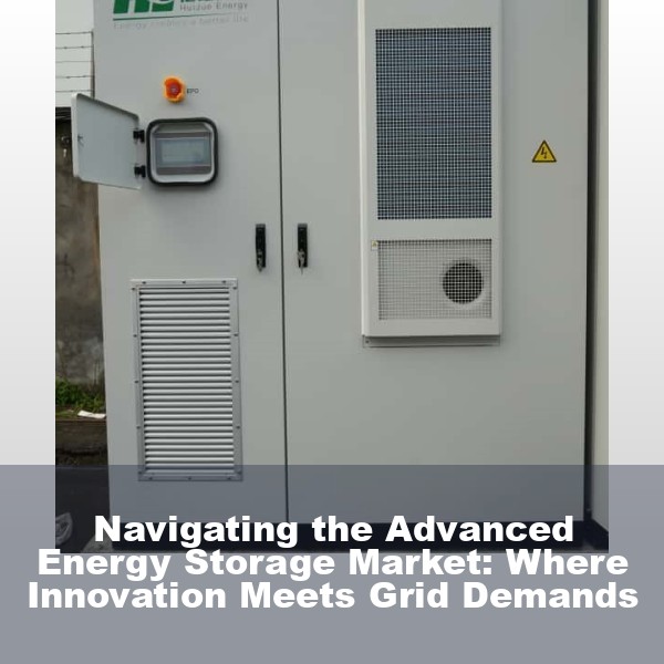 Navigating the Advanced Energy Storage Market: Where Innovation Meets Grid Demands