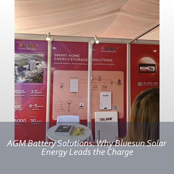 AGM Battery Solutions: Why Bluesun Solar Energy Leads the Charge