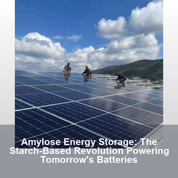 Amylose Energy Storage: The Starch-Based Revolution Powering Tomorrow's Batteries