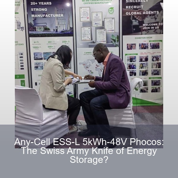 Any-Cell ESS-L 5kWh-48V Phocos: The Swiss Army Knife of Energy Storage?