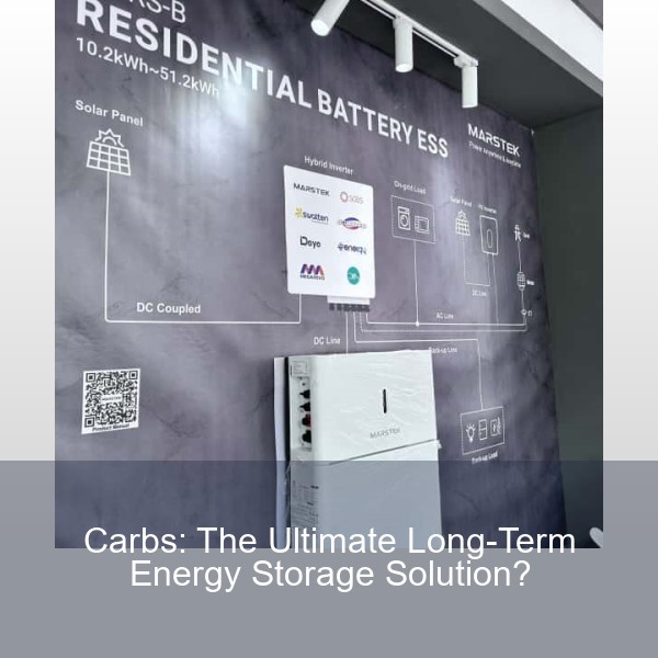 Carbs: The Ultimate Long-Term Energy Storage Solution?