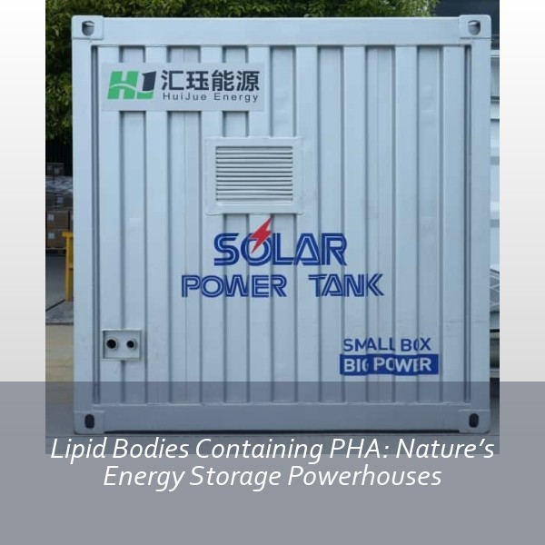 Lipid Bodies Containing PHA: Nature’s Energy Storage Powerhouses