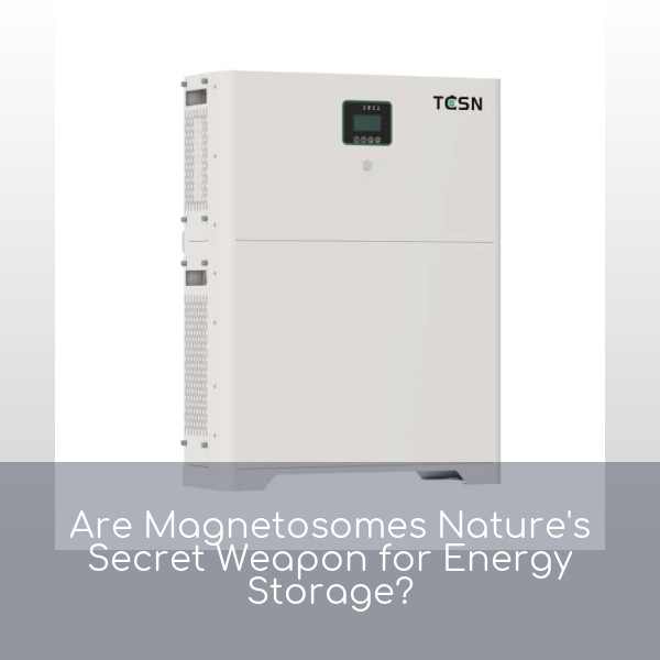 Are Magnetosomes Nature's Secret Weapon for Energy Storage?