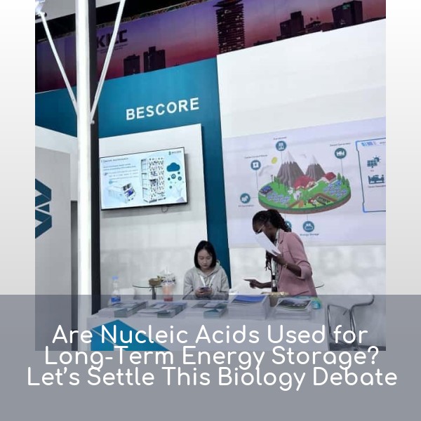 Are Nucleic Acids Used for Long-Term Energy Storage? Let’s Settle This Biology Debate