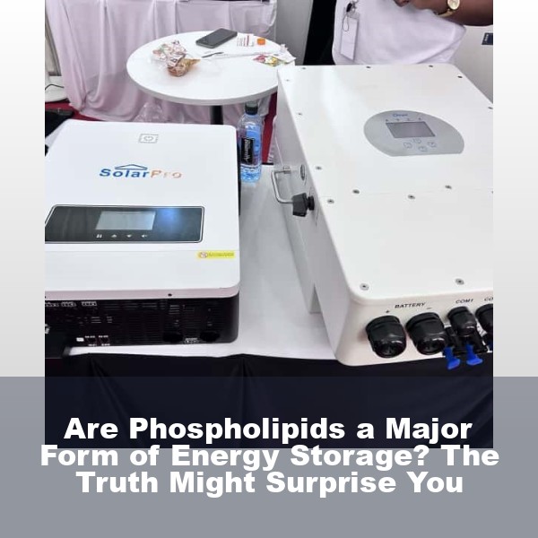 Are Phospholipids a Major Form of Energy Storage? The Truth Might Surprise You