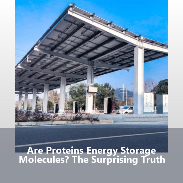 Are Proteins Energy Storage Molecules? The Surprising Truth