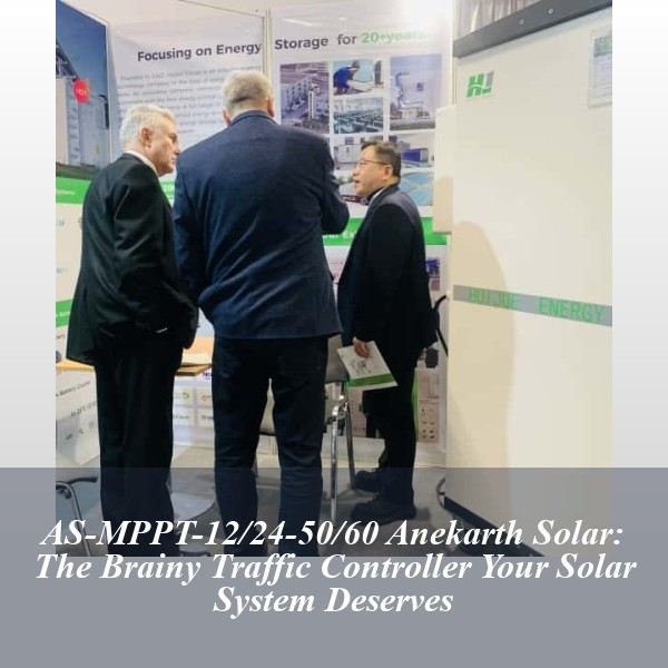 AS-MPPT-12/24-50/60 Anekarth Solar: The Brainy Traffic Controller Your Solar System Deserves