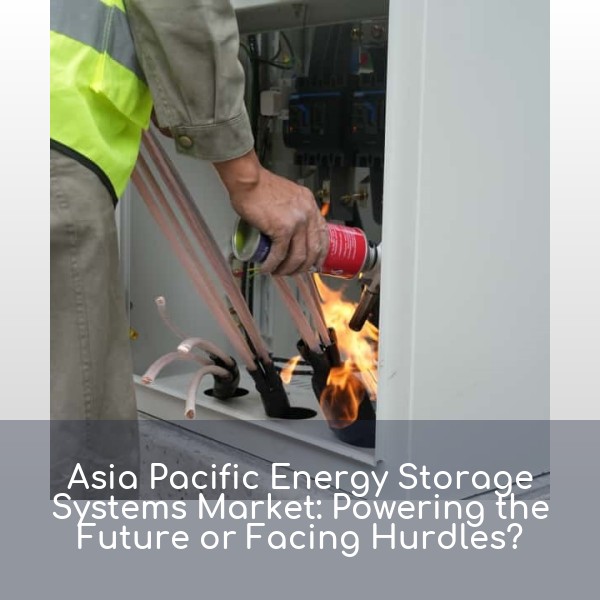 Asia Pacific Energy Storage Systems Market: Powering the Future or Facing Hurdles?