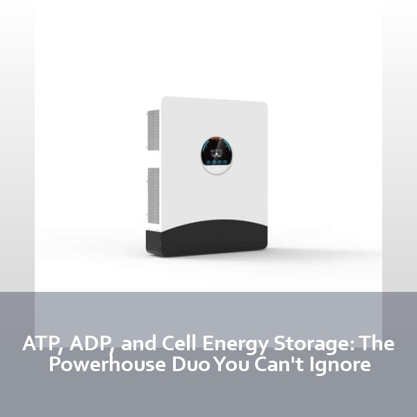 ATP, ADP, and Cell Energy Storage: The Powerhouse Duo You Can't Ignore
