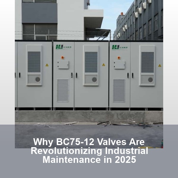 Why BC75-12 Valves Are Revolutionizing Industrial Maintenance in 2025