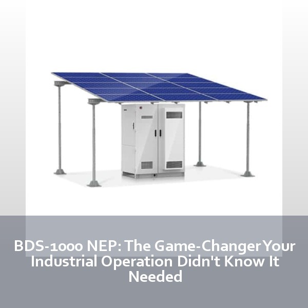 BDS-1000 NEP: The Game-Changer Your Industrial Operation Didn't Know It Needed