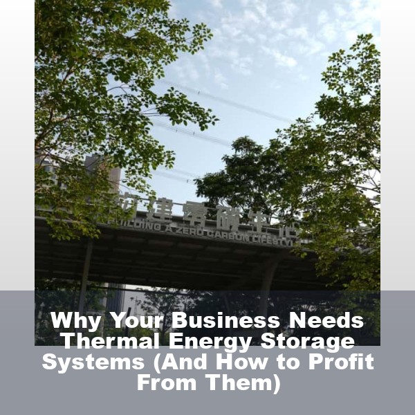 Why Your Business Needs Thermal Energy Storage Systems (And How to Profit From Them)