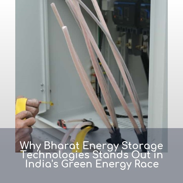 Why Bharat Energy Storage Technologies Stands Out in India's Green Energy Race