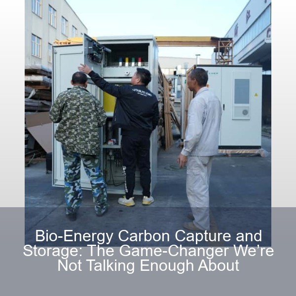 Bio-Energy Carbon Capture and Storage: The Game-Changer We’re Not Talking Enough About
