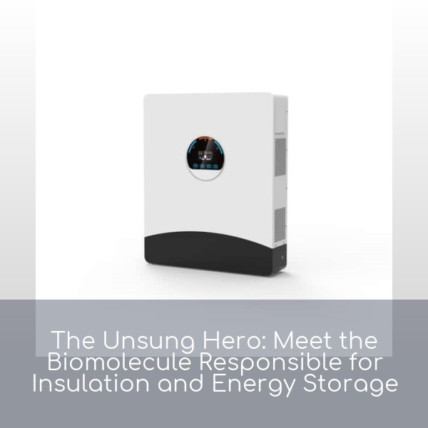 The Unsung Hero: Meet the Biomolecule Responsible for Insulation and Energy Storage