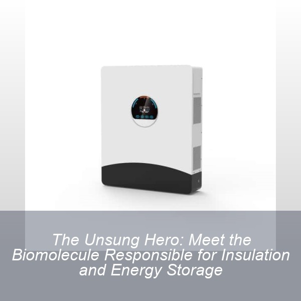 The Unsung Hero: Meet the Biomolecule Responsible for Insulation and Energy Storage