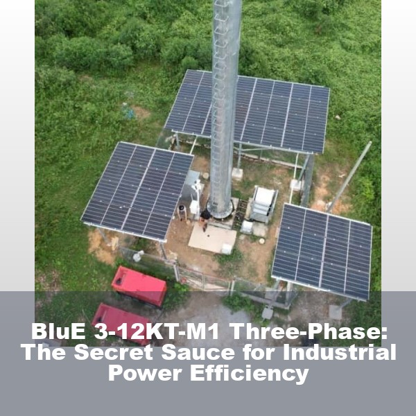 BluE 3-12KT-M1 Three-Phase: The Secret Sauce for Industrial Power Efficiency