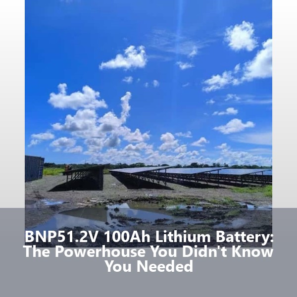 BNP51.2V 100Ah Lithium Battery: The Powerhouse You Didn't Know You Needed