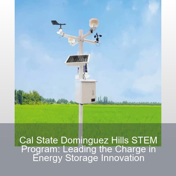 Cal State Dominguez Hills STEM Program: Leading the Charge in Energy Storage Innovation
