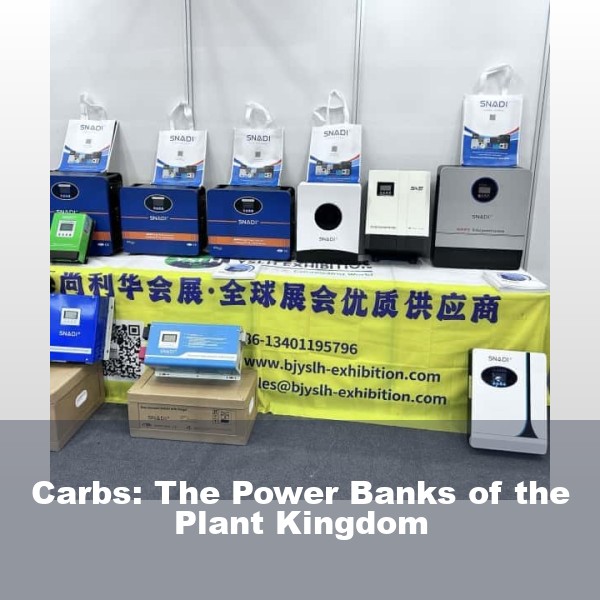 Carbs: The Power Banks of the Plant Kingdom