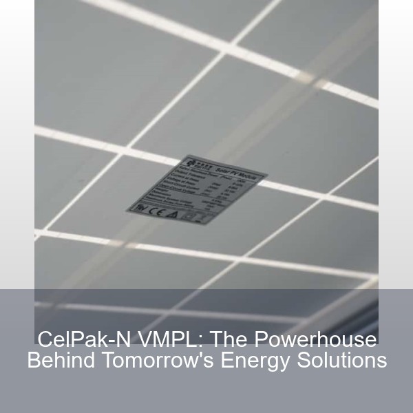 CelPak-N VMPL: The Powerhouse Behind Tomorrow's Energy Solutions