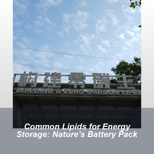 Common Lipids for Energy Storage: Nature's Battery Pack