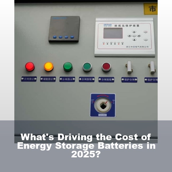 What's Driving the Cost of Energy Storage Batteries in 2025?
