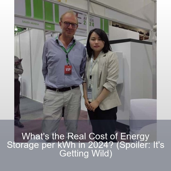 What's the Real Cost of Energy Storage per kWh in 2024? (Spoiler: It's Getting Wild)