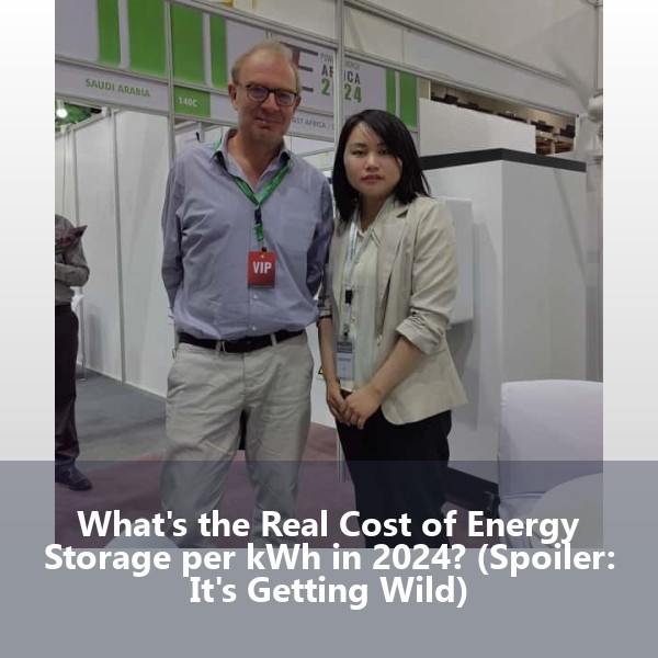 What's the Real Cost of Energy Storage per kWh in 2024? (Spoiler: It's Getting Wild)