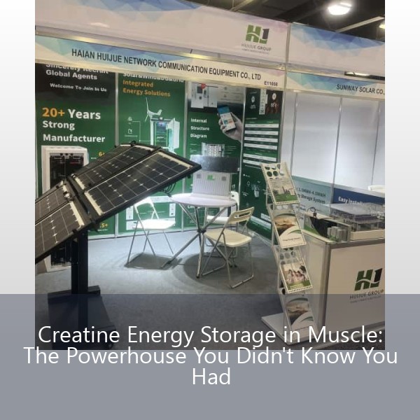 Creatine Energy Storage in Muscle: The Powerhouse You Didn't Know You Had