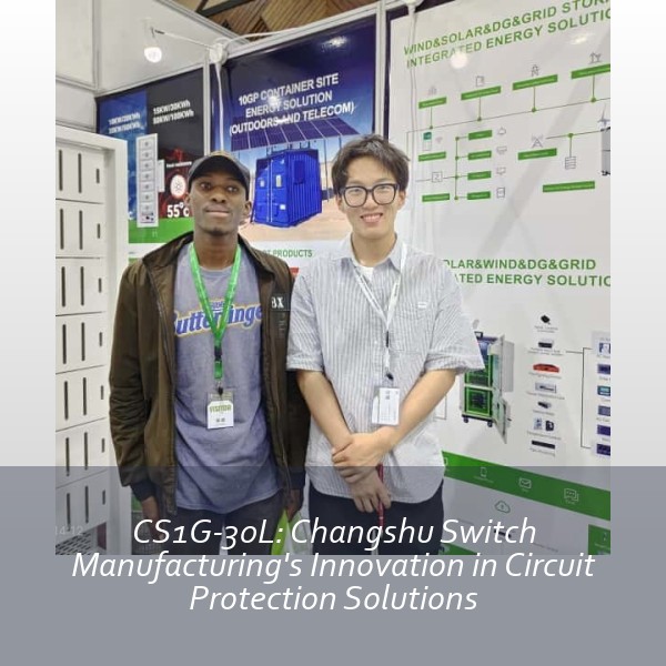 CS1G-30L: Changshu Switch Manufacturing's Innovation in Circuit Protection Solutions
